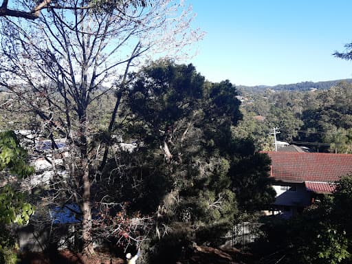 Bardon Trees — Customer photo