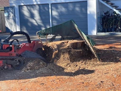 Rapid Stump Grinding — Customer photo