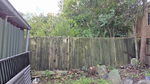 Your Local Arborist — Customer photo