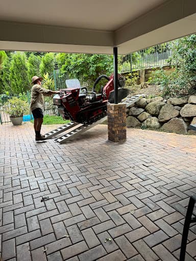 Rapid Stump Grinding — Customer photo