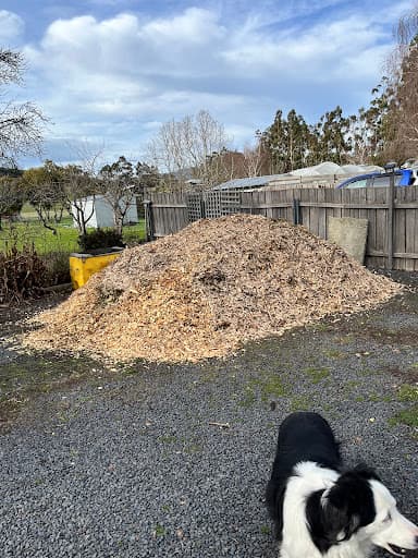 Horizon Tree Service — Customer photo