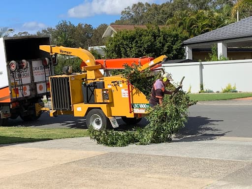 All About Tree Services QLD — Customer photo