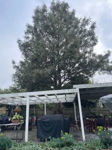 Trav's Tree Services — Customer photo