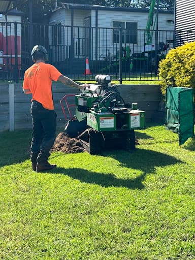 Proper Tree Care — Customer photo