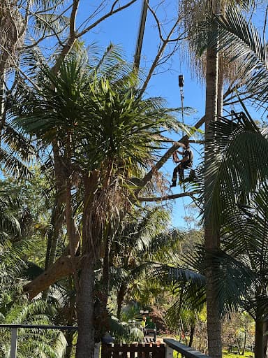 A & A Arbor Tree Service — Customer photo