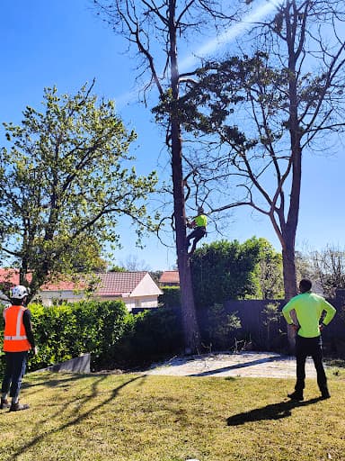 Arborist Cut Tree Services — Customer photo