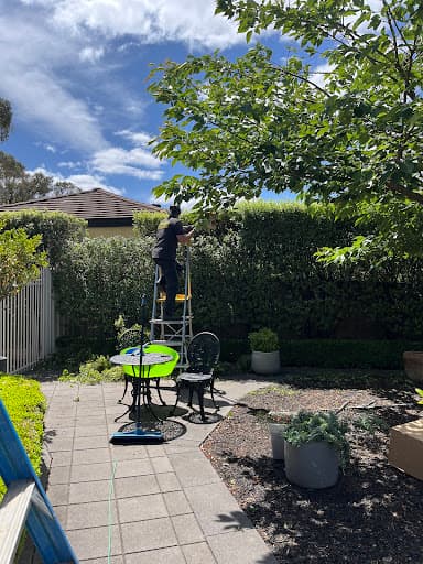 Hedge Works Bendigo — Customer photo