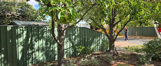 Cathcart Tree Services — Customer photo