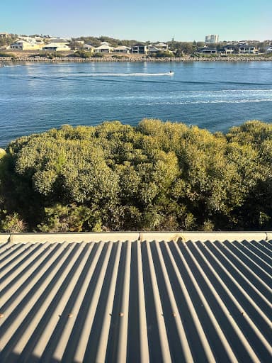 Cairns Tree Care - Tree Lopping and Tree Removals — Customer photo