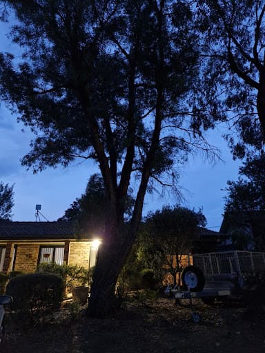 Liro Tree Services — Customer photo