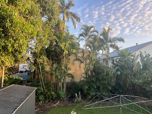Coral Coast Tree Care — Customer photo