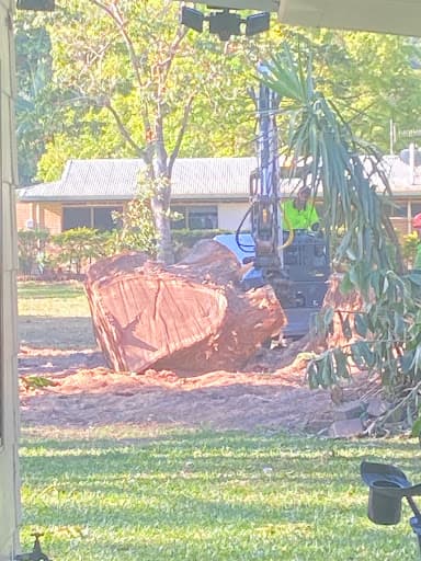 Advanced Vegetation Management — Customer photo