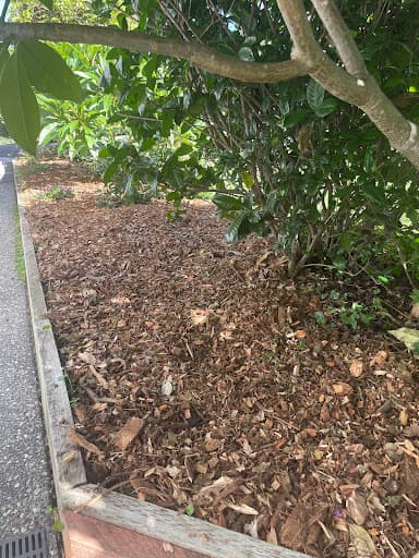 Illawarra Arborist - Tree Services — Customer photo