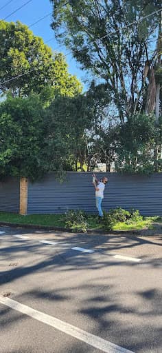 Brisbane Trees and Gardens — Customer photo