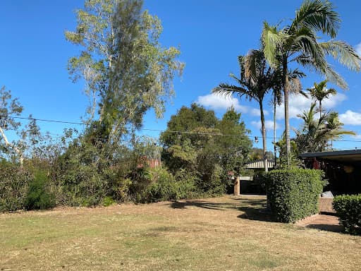 Cairns Tree Care - Tree Lopping and Tree Removals — Customer photo