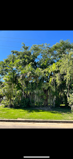 Sun City Trees & Mulch — Customer photo