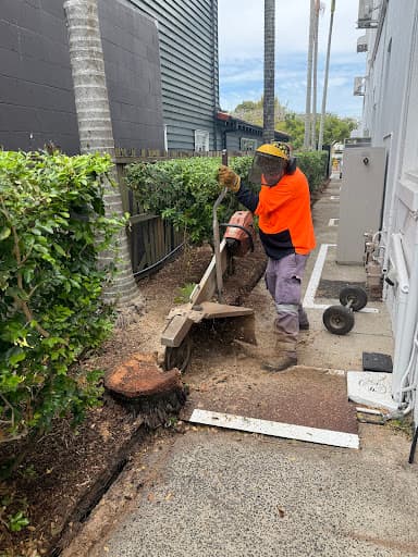 Just Stumpgrinding — Customer photo