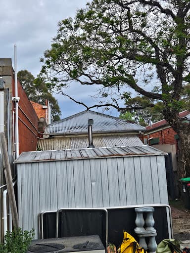 Metropolitan Arborist — Customer photo