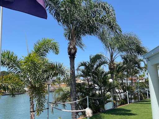 Brisbane Yard — Customer photo