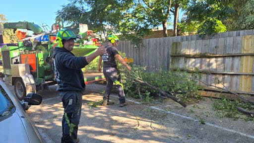 Rocky's Tree Removal — Customer photo