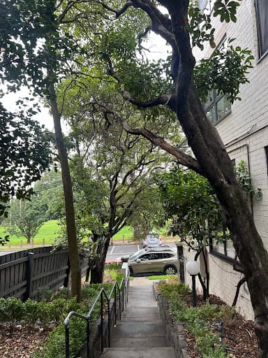 Leafy Tree Care — Customer photo