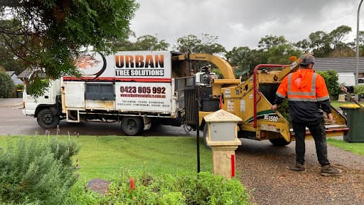 Urban Tree Solutions — Customer photo