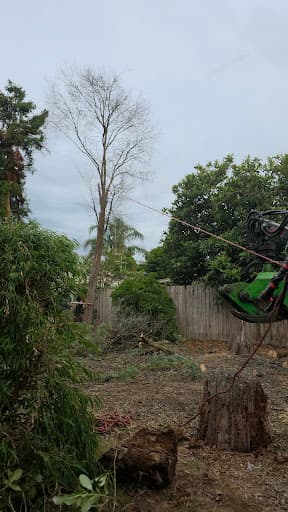 The Yard - Tree Services — Customer photo
