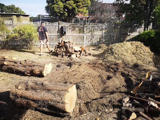 Trees R Us Tasmania — Customer photo