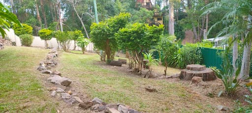 Mint Tree Services — Customer photo