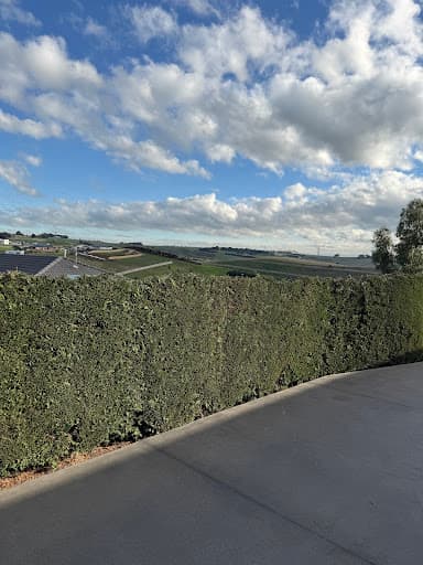 Hedge Works Geelong — Customer photo