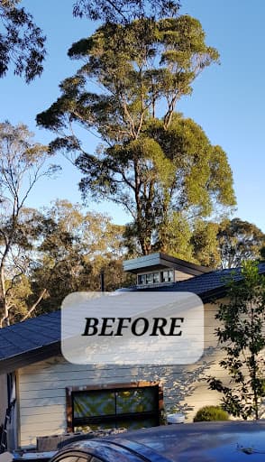 EziClip Tree Service — Customer photo