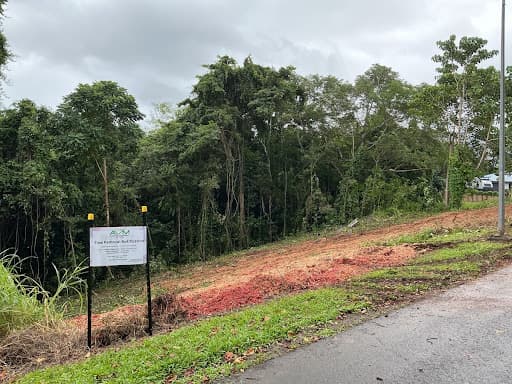 Advanced Vegetation Management — Customer photo