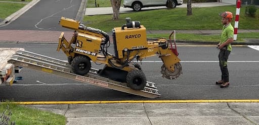 Melbourne Tree Specialists Pty. Ltd. — Customer photo