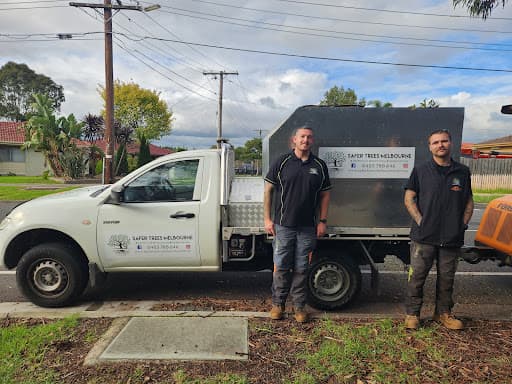 Safer Trees Melbourne — Customer photo