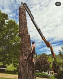 Cooney's Tree Care