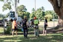 Skilled Trees Services